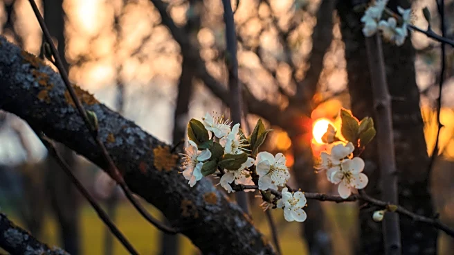 Spring-like Temperatures Expected in Philadelphia Area
