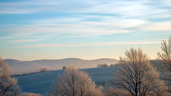 Mild Early January Weather in North Texas