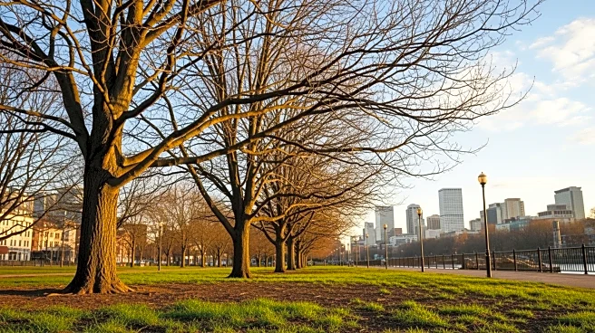 Unseasonably Warm Weather Expected in Chicago This Week