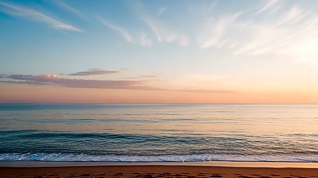 Miami Weather Forecast: Clear Skies and Mild Temperatures Expected