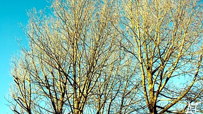 January Brings Noticeably Longer Days Across The United States