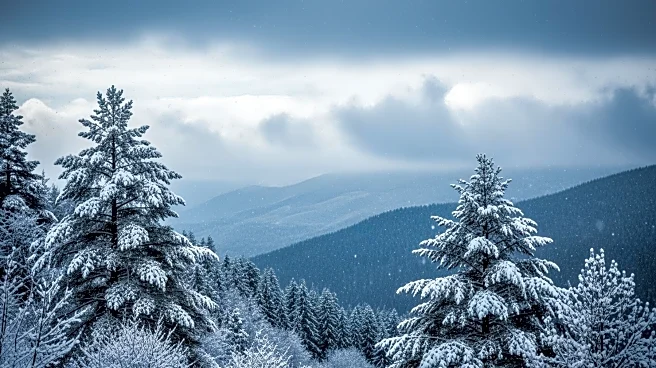 Snow Expected in Denver and Colorado Mountains Later This Week