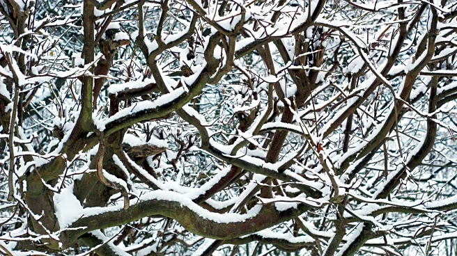 How January Weather Impacts Sleep, Mood, And Daily Routines