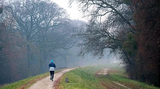 How To Boost Your Mood During Gray January Weather
