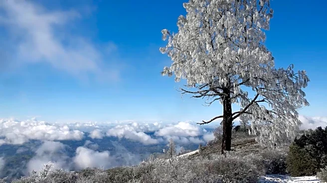 Bay Area Under Rare Extreme Cold Watch As Freezing Temps Near