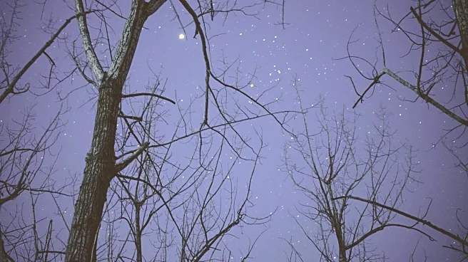 Spot the Pleiades Star Cluster After Dark on January 8