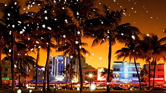 Remembering 1977: Miami Sees Its Only January Snowfall