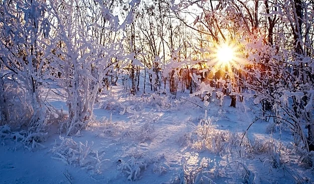 Eastern U.S. Warmth Fades As Cold Air And Snow Risks Return