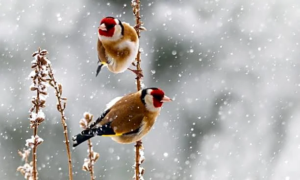 Friday Forecast: How Your Workweek Ends Weather-Wise