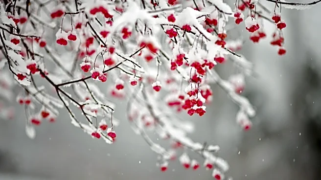 West Coast Will Turn Drier as Colder, Snowier Risks Build in East