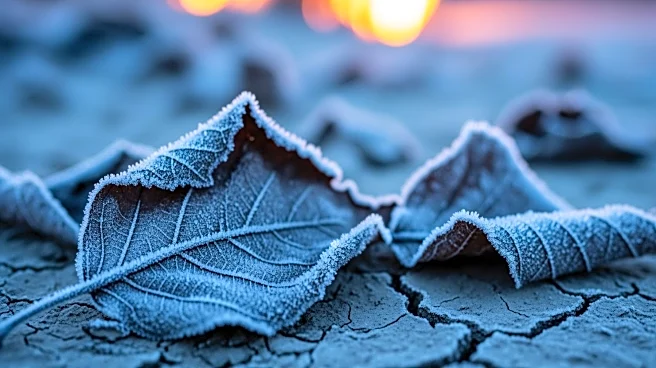 Augusta Faces Frigid Temperatures and Fire Hazard Risks This Week