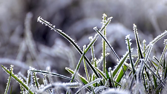 Can It Be Too Cold To Snow? Here’s The Science Explained