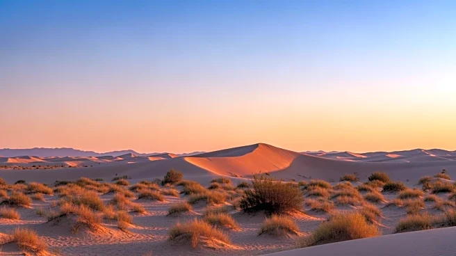 Tucson Weather Forecast: Clear Skies and Mild Temperatures Expected