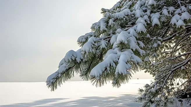 Heavy Snowfall Expected Across Michigan with Up to 8 Inches Forecast