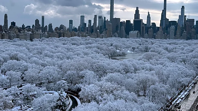 On This Day In 2024: Central Park Finally Broke Its Historic Snow Streak