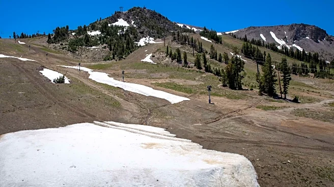 Snow Drought Grips Nevada, West as Warm Winter Cuts Snowpack