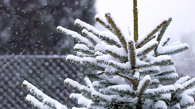 Arctic Chill Targets Midwest, Northeast Late January Into Feb