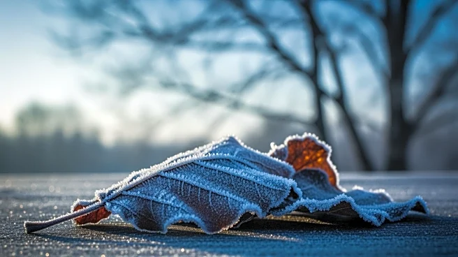 Chilly Weekend Ahead for Houston with Cold Front and Low Temperatures