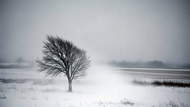 Winter Weather Advisory: Snow and High Winds in Northern Iowa and Southern Minnesota