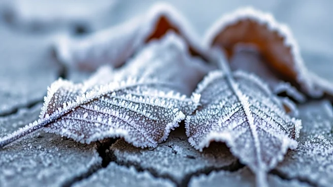 Keokuk, Iowa: Cold Weather Continues with Low Temperatures