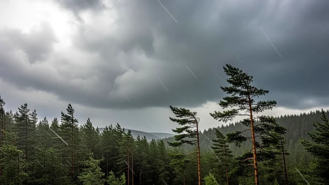 Heavy Rain and Wind Expected in Oregon This Weekend