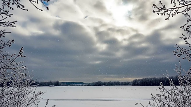 Light Snow Continues in Batavia, NY with Cloudy Skies