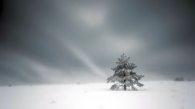 Winter Storm Warning Upgraded: Near-Blizzard Conditions for Michigan