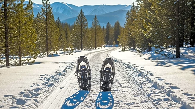 Snowshoe Racing Events Set to Begin in Sandia and Santa Fe