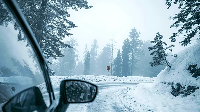 Snowy Road Safety Tips Every Winter Driver Should Know