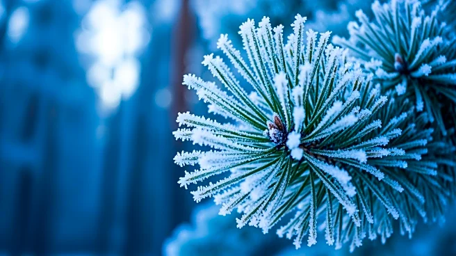 Cold Weather Advisory Issued for Avery County, NC
