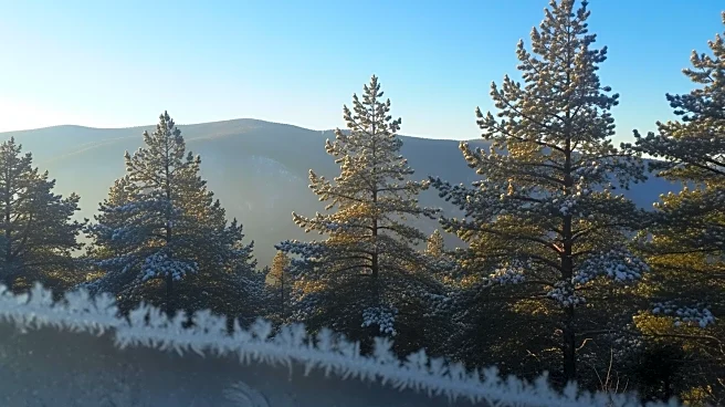 Denver to Experience Mild Weather Followed by Arctic Blast