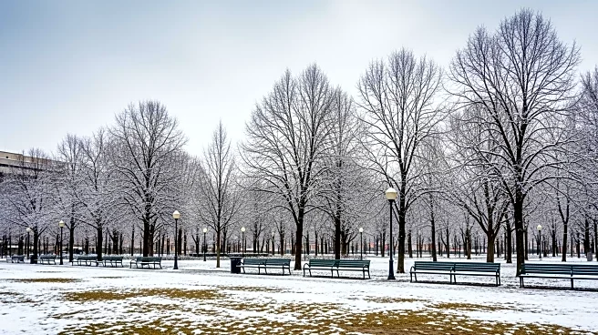 Chicago Experiences Seasonal Snowfall Below Average