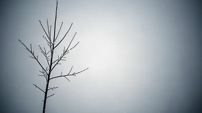 Winter Storm Watch Issued for Oklahoma and North Texas