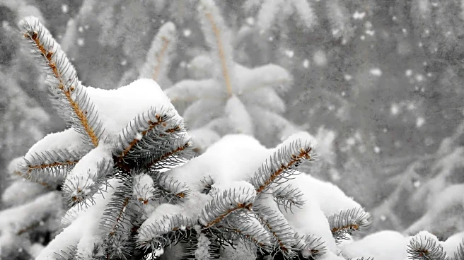Midwest, Northeast Face More Snow and Lake-Effect Through Thursday