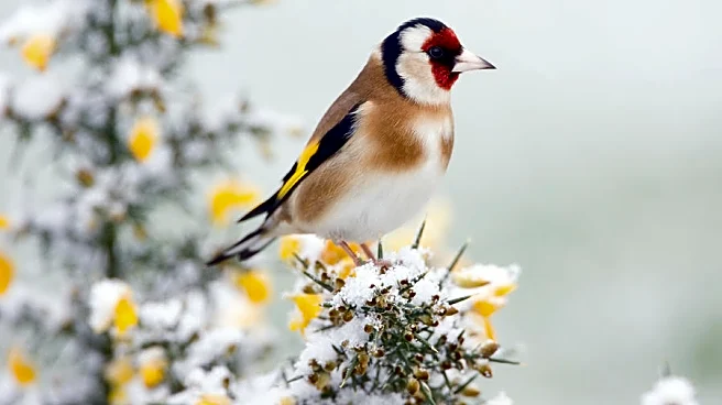 Here’s Your Midweek Weather Check Across The Nation