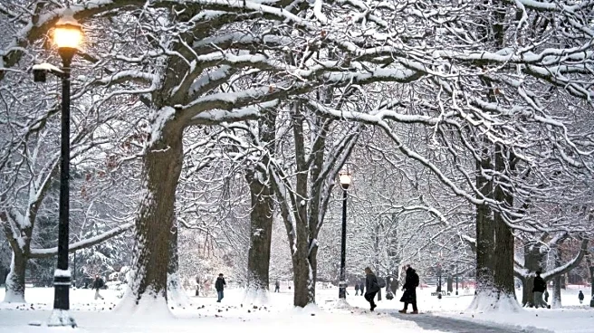 Millions at Risk as Major Winter Storm Hits Over 30 States