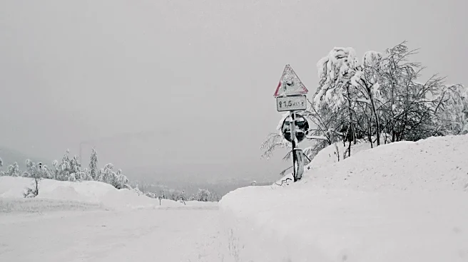 Blizzard Defined: Strong Winds + Snow + Whiteout Visibility Rules