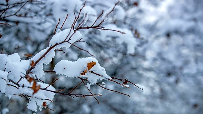 Nationwide Weather Update: Here’s What Thursday Looks Like
