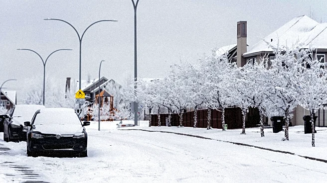 Millions in 35+ States Face Winter Storm Watches As Dangerous Storm Looms