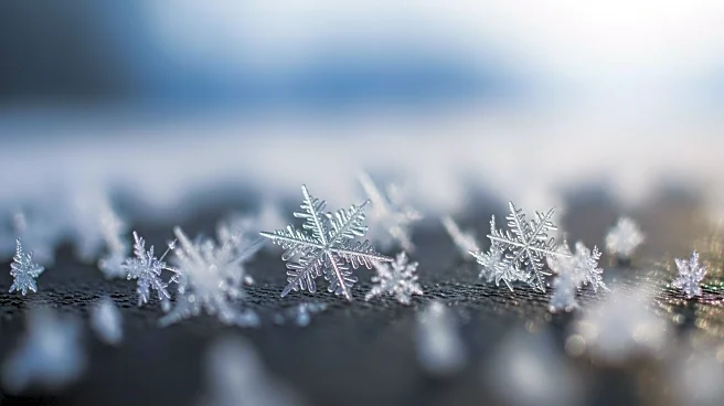 Heavy Snowfall Expected in NYC: 8-12 Inches Forecast for Sunday-Monday