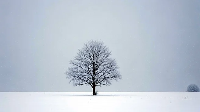 Arctic Cold and Winter Storm Threaten Texas This Weekend