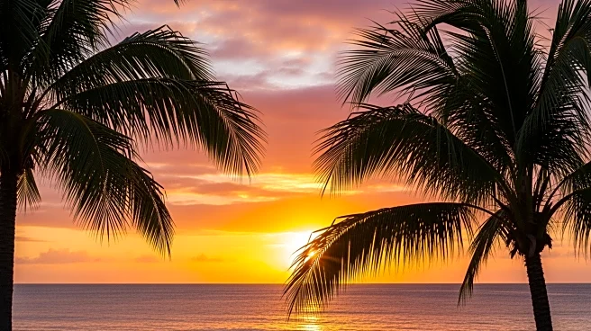 Near-Record Warmth Expected in South Florida This Weekend