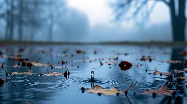 Wet Weather and Cold Blast Expected in Mississippi This Weekend