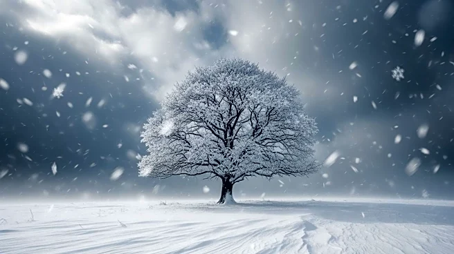 Ohio Valley Braces for Weekend Winter Storm