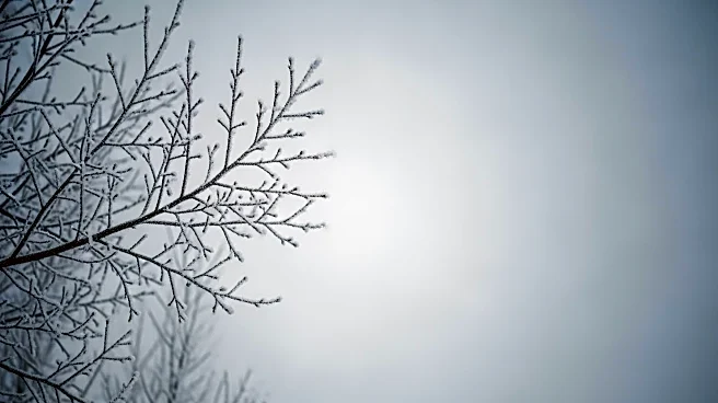 Extreme Cold Warning Issued for Chicago Area on Friday
