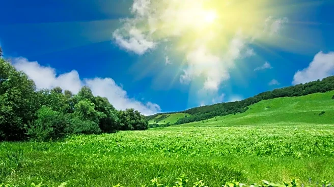 Spring Warmth Likely to Dominate February–April Weather Outlook