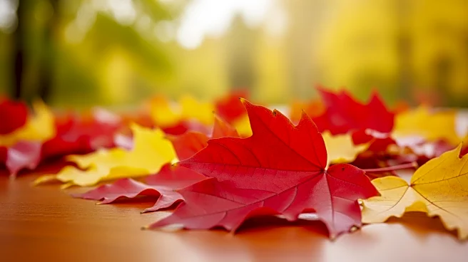 Fall Foliage Peak Days Announced for 2026