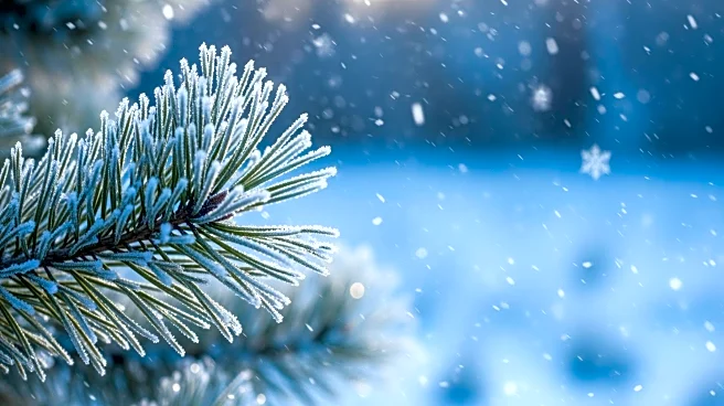 Frigid Weather to Persist in Maryland After Winter Storm