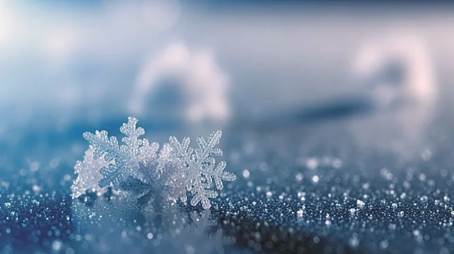 Blue Snow Phenomenon Observed in New York After Winter Storm