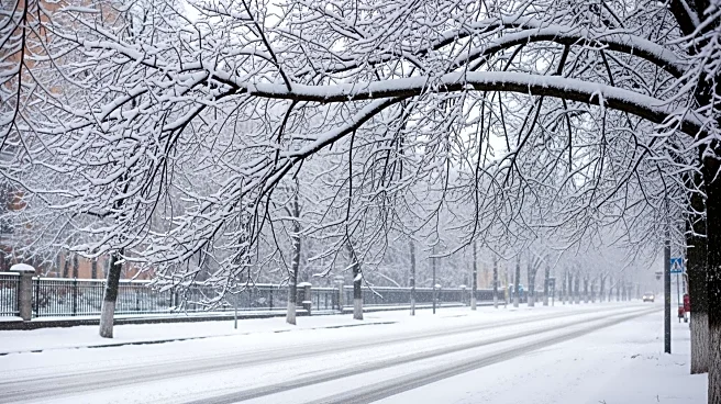 New York Hit by Heavy Snowfall: Over a Foot in Many Areas